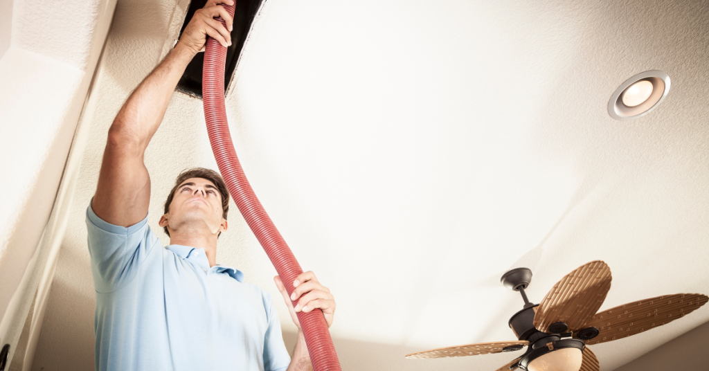 Why are local citations important?